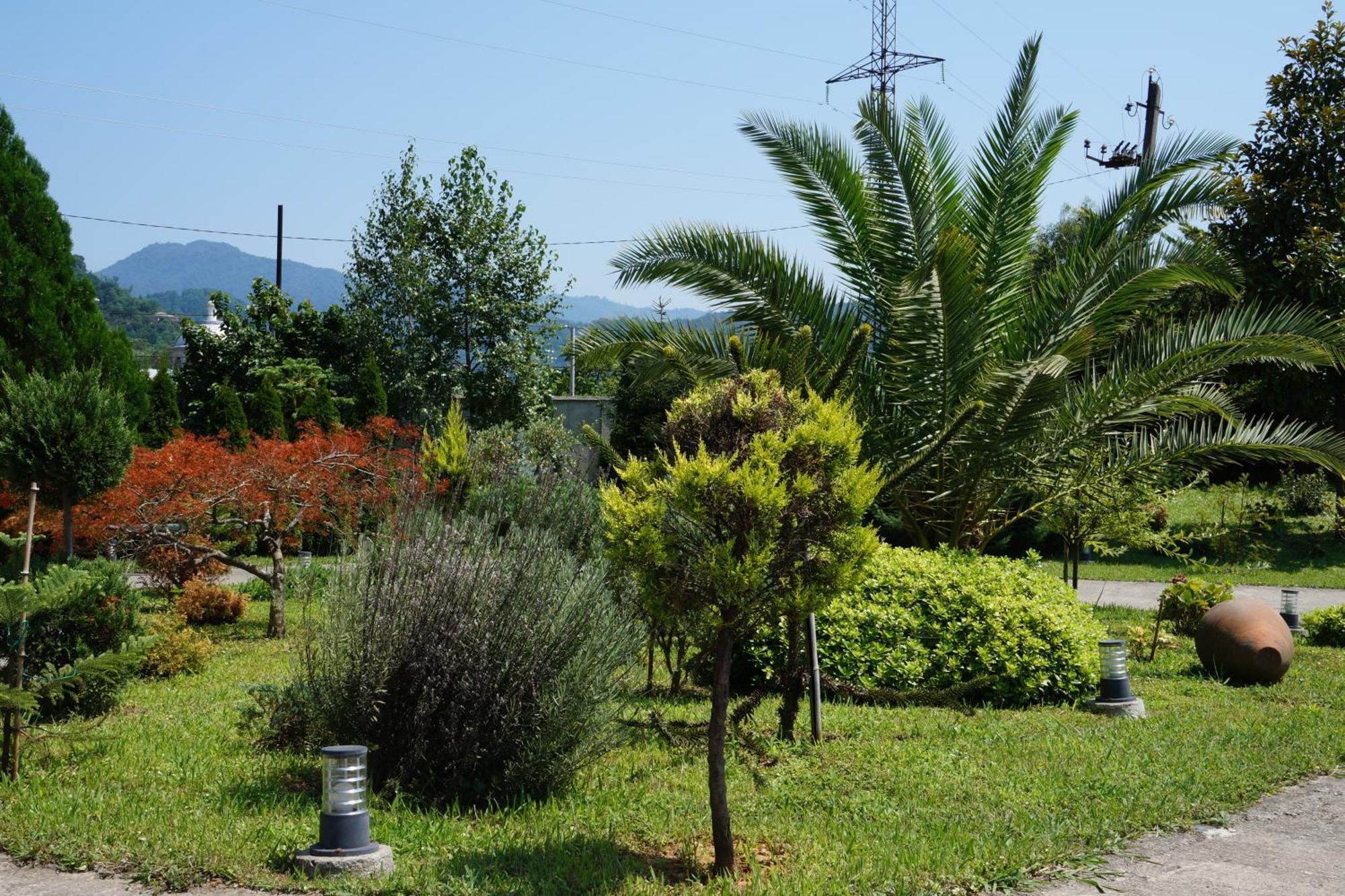 Villa Qero Batumi Ngoại thất bức ảnh