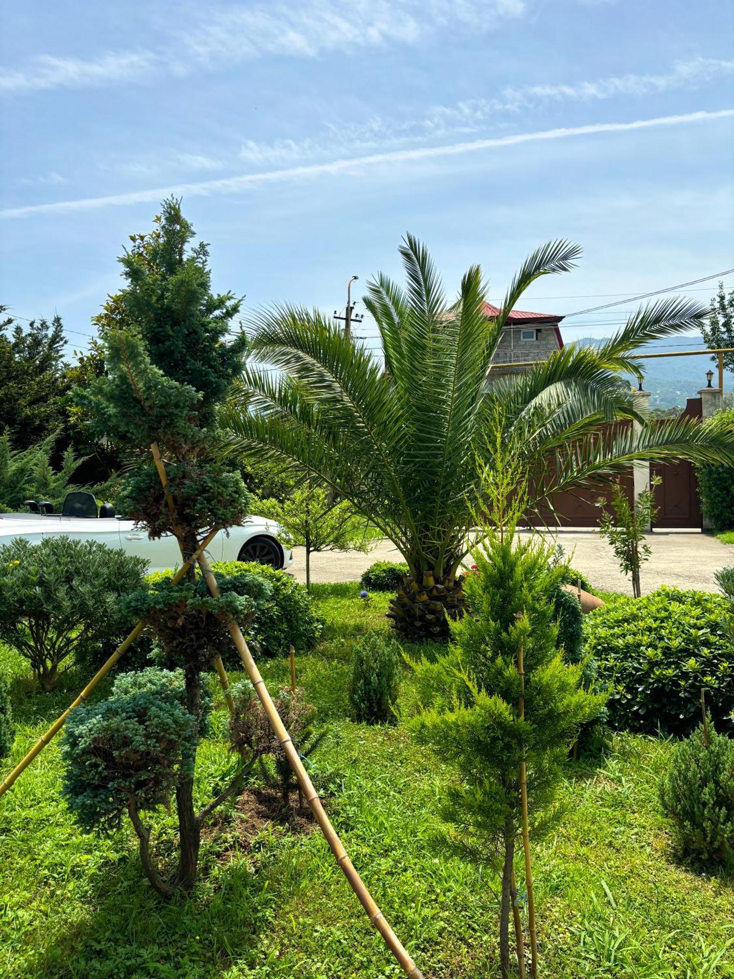 Villa Qero Batumi Ngoại thất bức ảnh