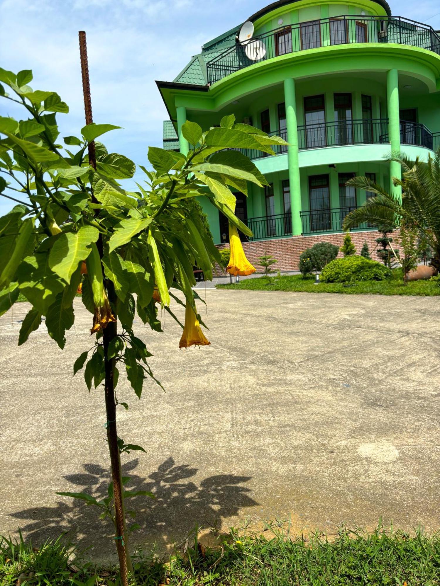 Villa Qero Batumi Ngoại thất bức ảnh